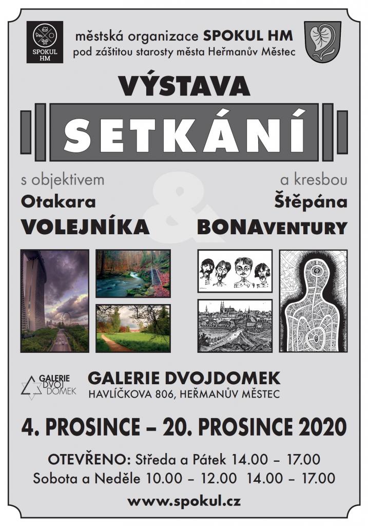Vystava_Volejnik_12_2020