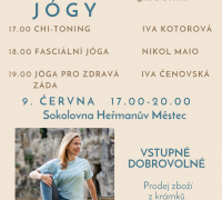Den jogy
