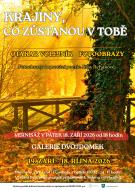 Volejnik_fotoobrazy